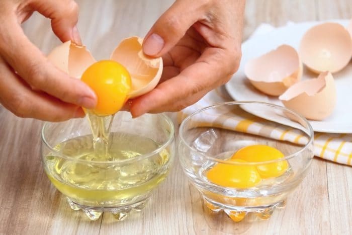 egg substitute food