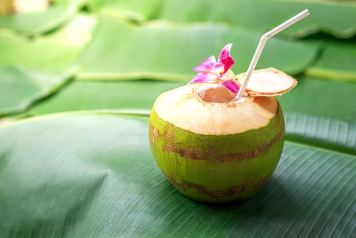 benefits of coconut for the diet