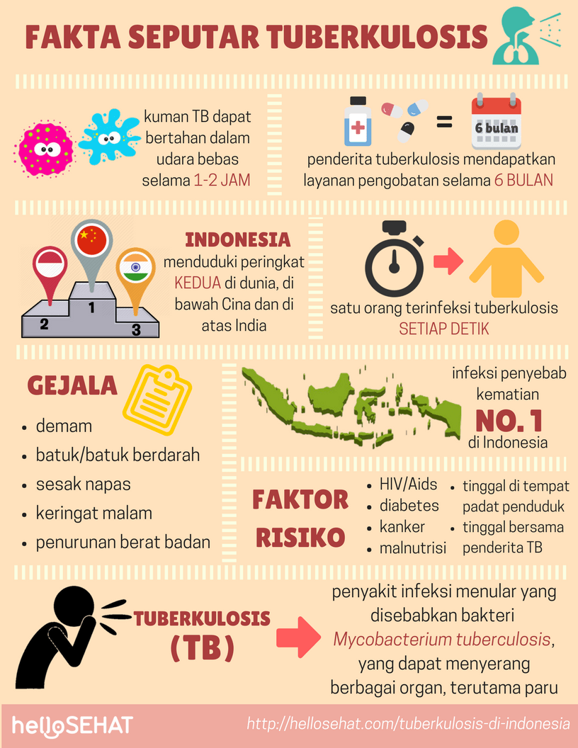 tuberculosis tuberculosis in Indonesia