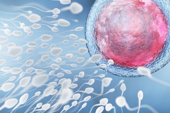 Sperm analysis is a male fertility test