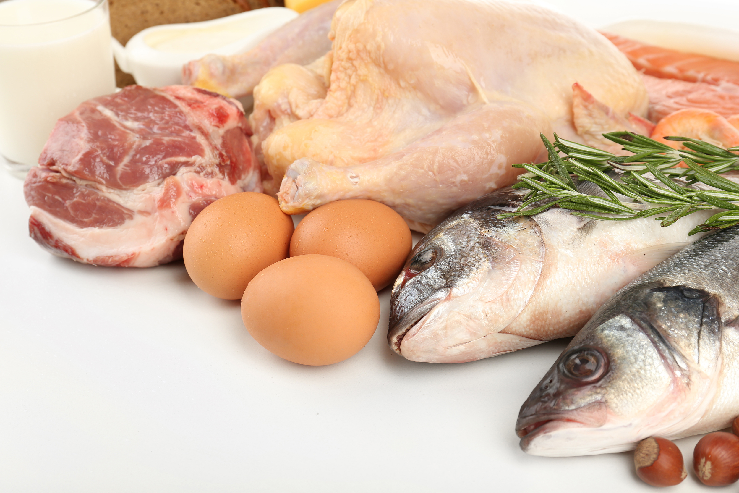 eat chicken or fish, which is healthier