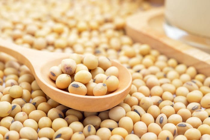 soybeans treat breast cancer