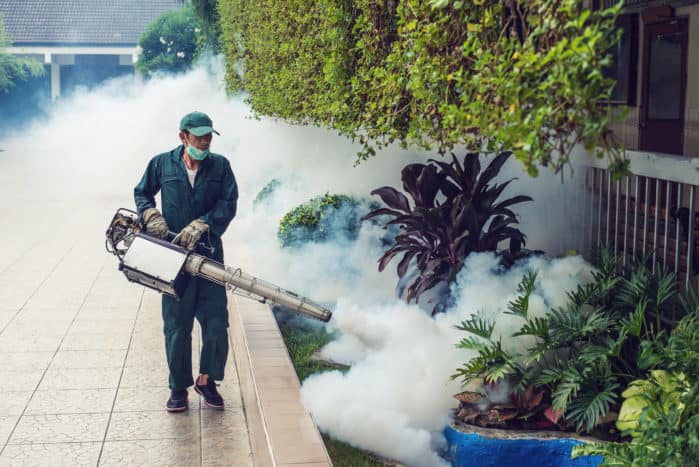 fogging gas in dengue mosquitoes