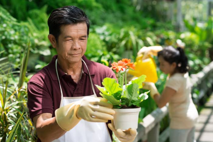 how to prevent back pain when gardening