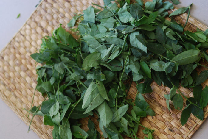 katuk leaf recipe