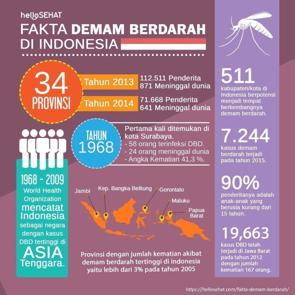 dengue fever hellosehat in Indonesia