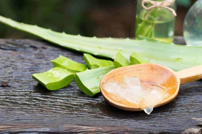 the benefits of aloe vera for hair