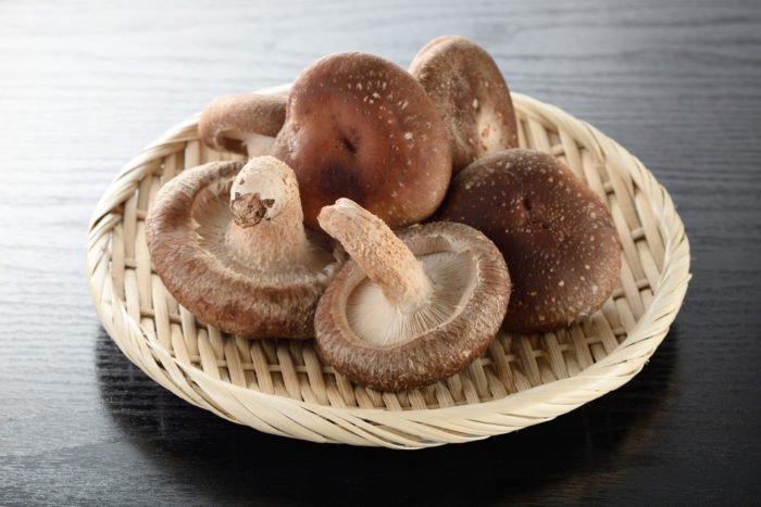 shitake mushroom benefits