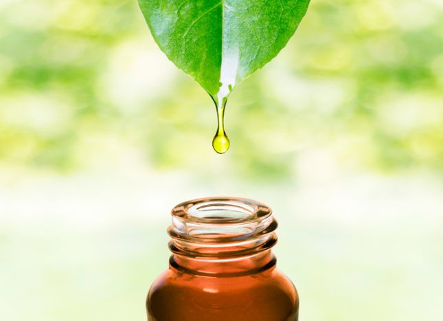 benefits of hazelnut oil