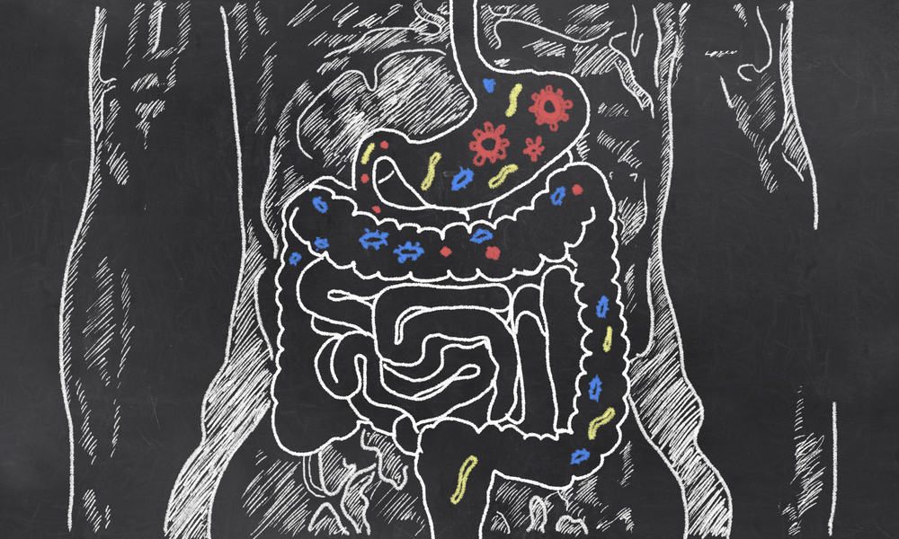 dietary patterns based on bacteria in the intestine