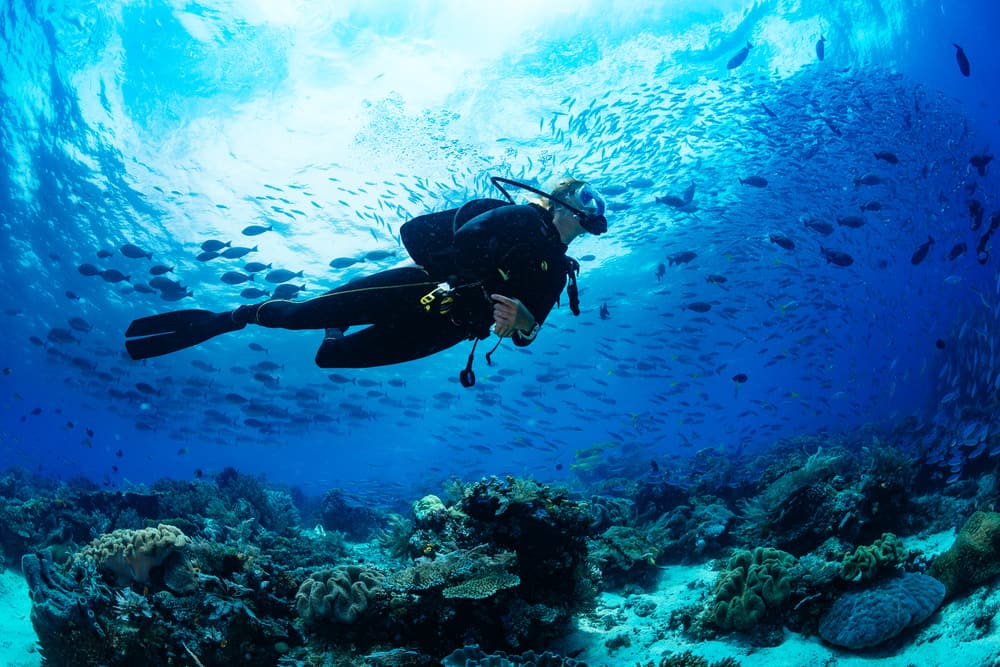 beginner scuba diving