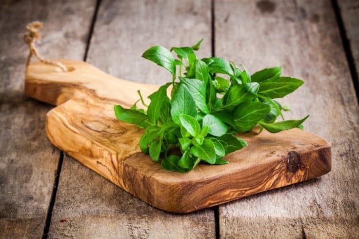the benefits of basil leaves are asthma medication