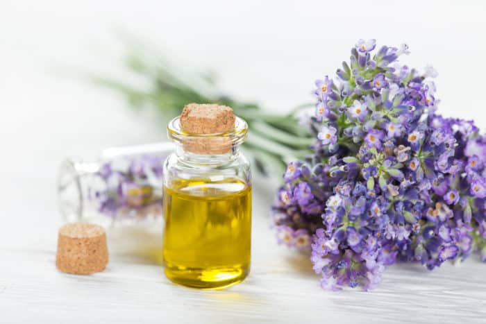 the benefits of lavender oil