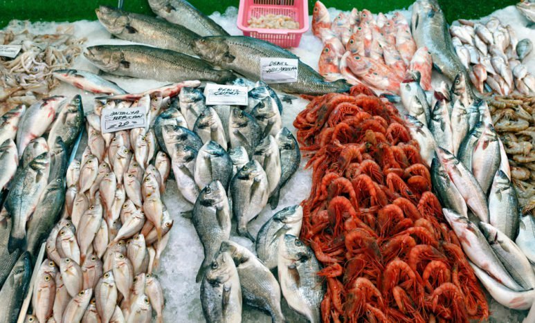 seafood mercury content