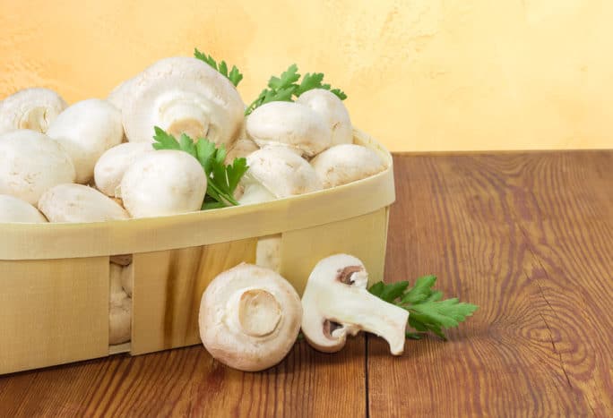 the benefits of mushrooms and their risks to health