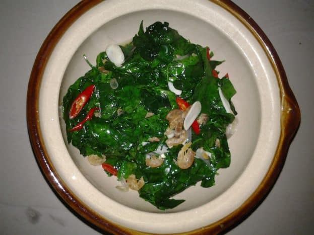 katuk leaf vegetable